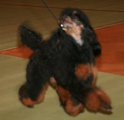 Img 3759