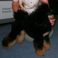 Europasierger2009006a