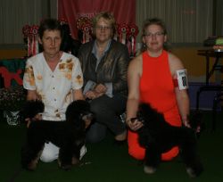VDP SiegerBOBZP1