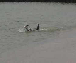 Usedom054