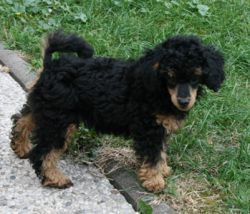 Baby078