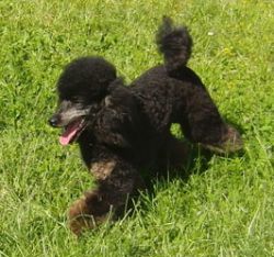 Fly1jahr051