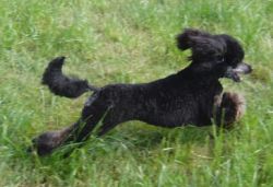 Fly1jahr208