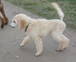 Oonaghundlivi4mo001