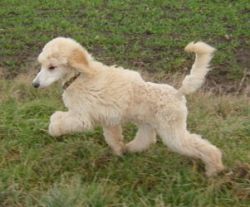 Oonaghundlivi4mo006