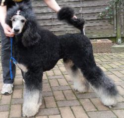 Nala1jahr086