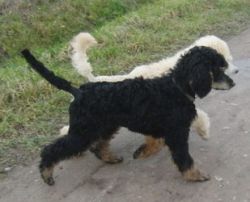 Oonaghundlivi4mo019
