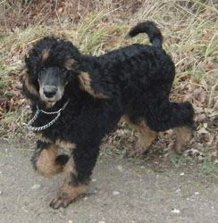 Oonaghundlivi4mo033