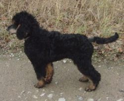 Oonaghundlivi4mo077
