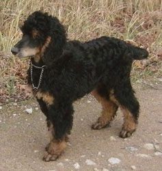 Oonaghundlivi4mo085