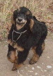Oonaghundlivi4mo094