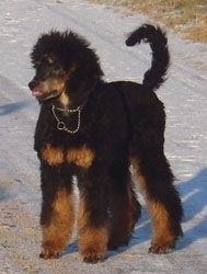 Oonagh5mo001