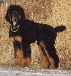 Oonagh5mo088