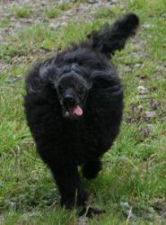 Mai2011270