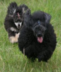 Mai2011306