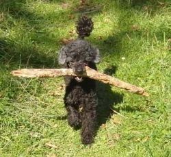 Timber5mo071