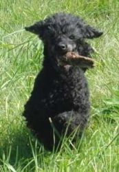 Timber5mo203