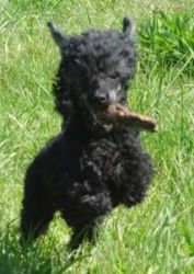 Timber5mo217