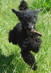 Timber5mo219