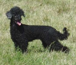 Timber5mo261
