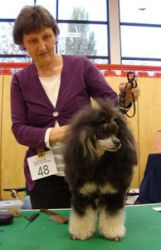 Dsc02390 360x480