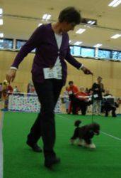 Dsc02408 360x480