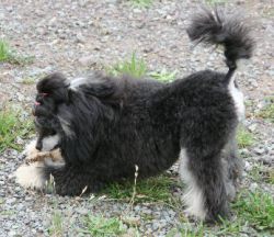 Mai2011257
