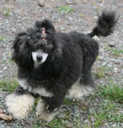 Mai2011261