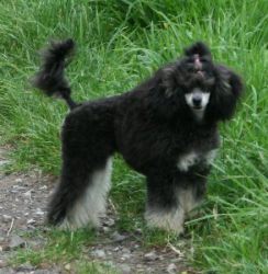 Mai2011262