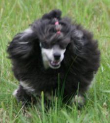 Mai2011291