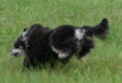 Mai2011314