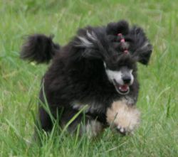 Mai2011326