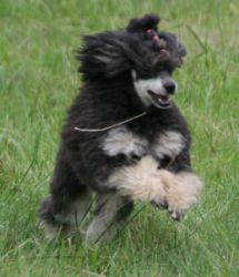 Mai2011327