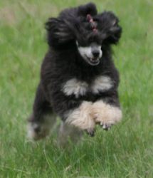 Mai2011328