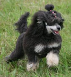 Mai2011332