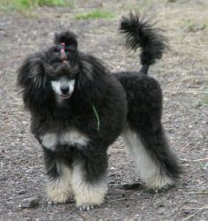 Mai2011346