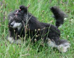 Mai2011366