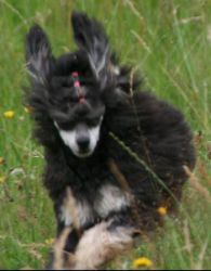 Mai2011396