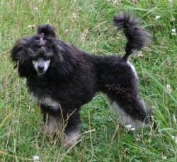 Mai2011421
