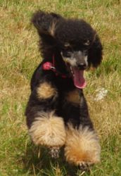 Taiga10mo077a