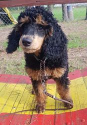Sunny3mo2