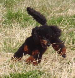 Uschi1jahr025