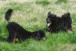 Uschi1jahr038