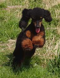 Uschi1jahr079