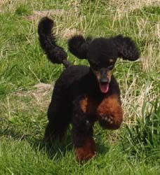 Uschi1jahr081