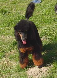 Uschi1jahr133