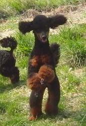 Uschi1jahr140