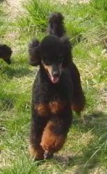 Uschi1jahr145