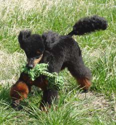 Uschi1jahr203