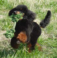Uschi1jahr212